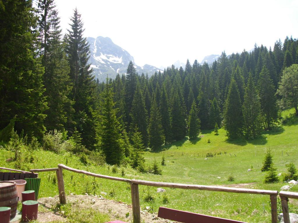 Apartment Vujisic Žabljak Szoba fotó