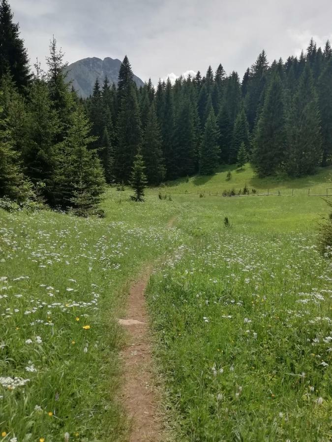 Apartment Vujisic Žabljak Kültér fotó